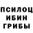 Псилоцибиновые грибы MAGIC MUSHROOMS diskkossd